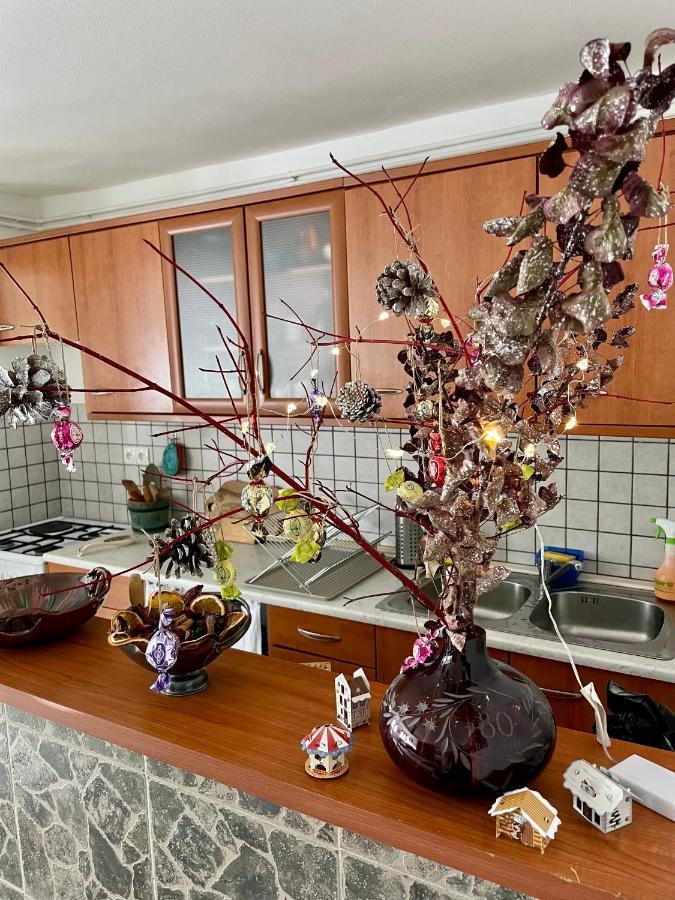 דירות בובק Apartma Pri Soci מראה חיצוני תמונה